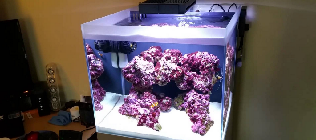 Nano Reef Lighting Options – A Guide For Beginners