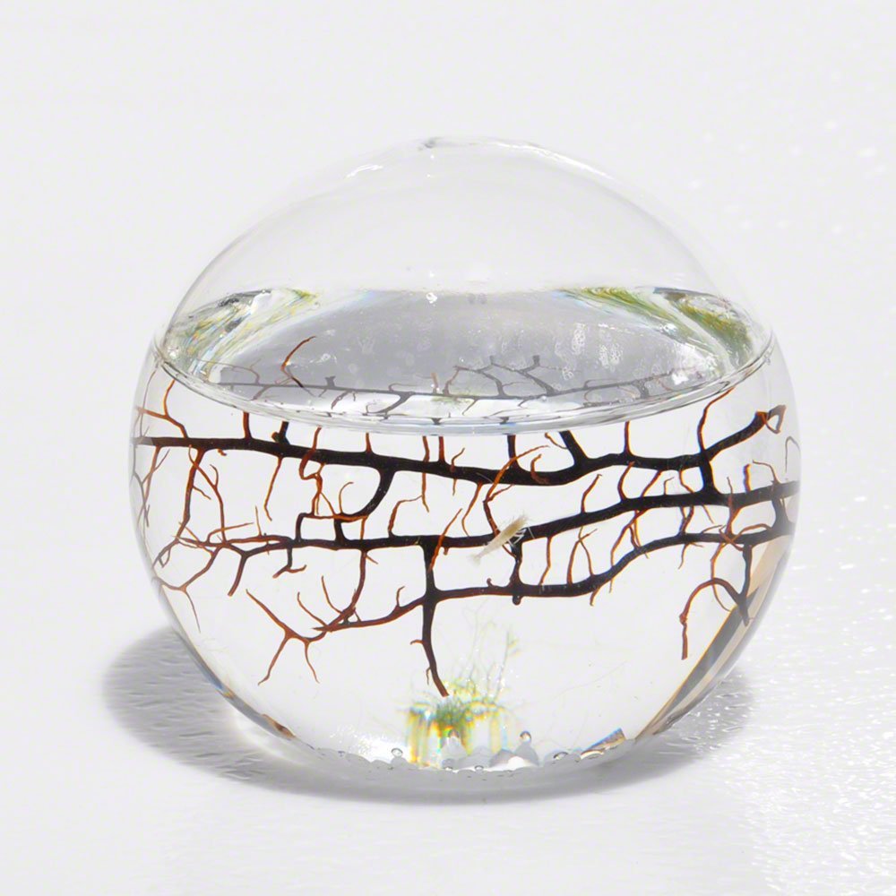 ecosphere sphere review
